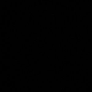 Meet your Posher, Danna